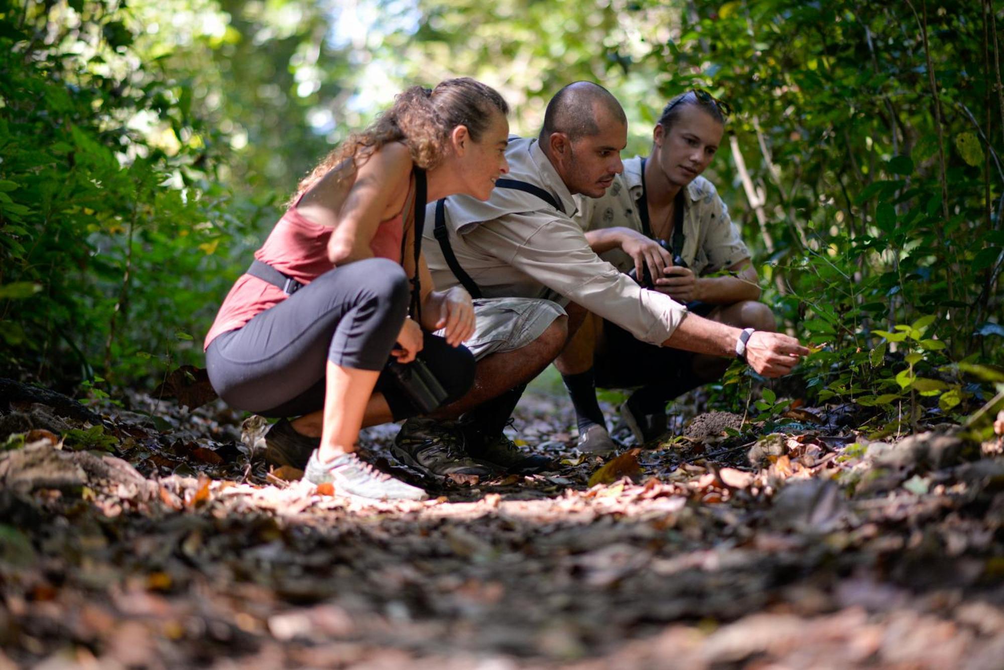Hotel Boutique Lagarta Lodge Nosara Luaran gambar