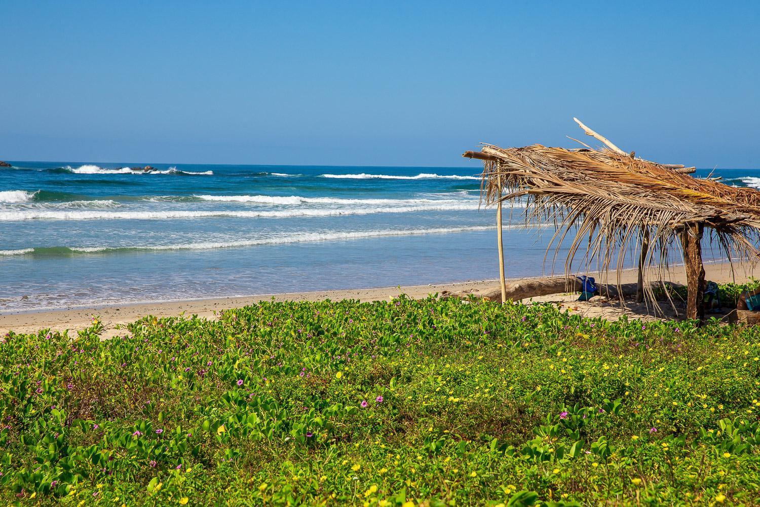 Hotel Boutique Lagarta Lodge Nosara Luaran gambar
